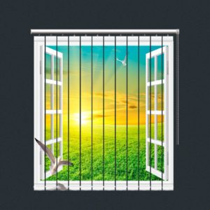 chattarpur delhi window blinds